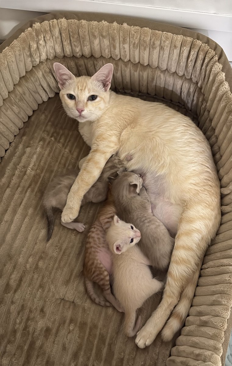 DNVP 💋 (Malonfamily) tweet media