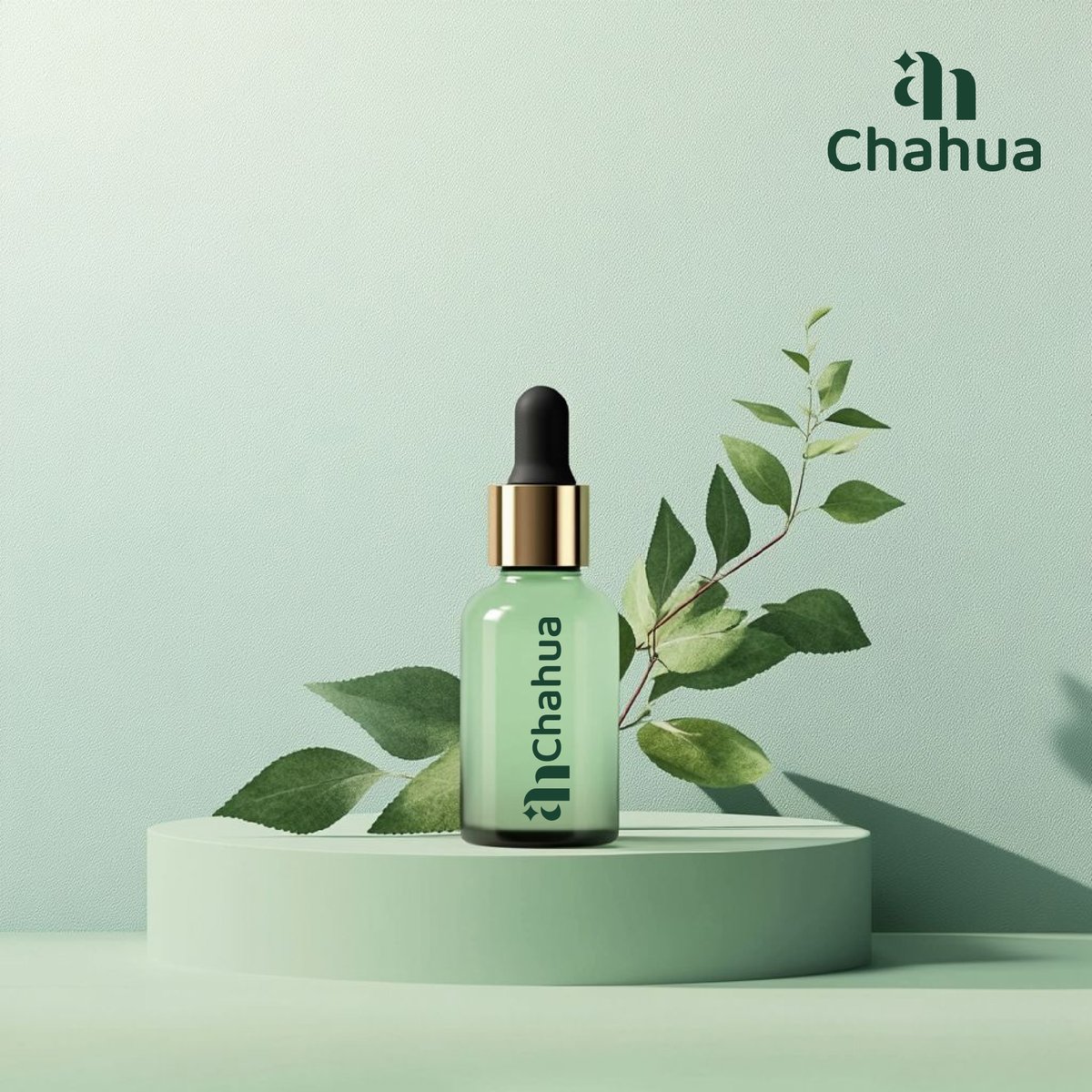 nammigrph98084's tweet image. 📷লোগোর নাম: Chahua
#LogoContest649 #logo #logocontest #logodesign #logodesigner #PiximLab