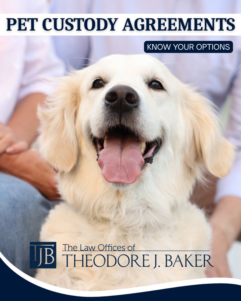 office_baker's tweet photo. Dividing property? Don’t forget your furry family members. Know your options and protect your pet with a clear custody agreement.

#PetCustody #Divorce #NJLawyer https://t.co/I8D6bbcdsY