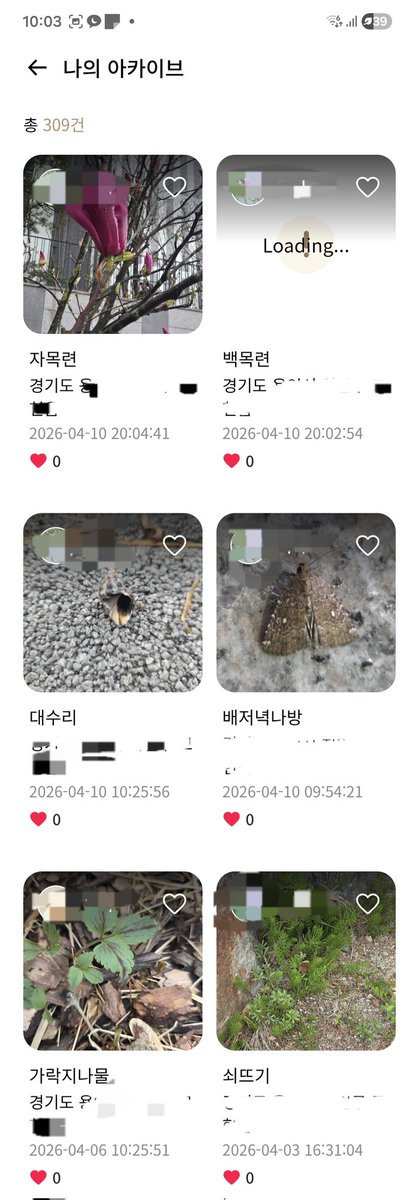 ii52 촉촉 좋아🐌🐚❤️ tweet media