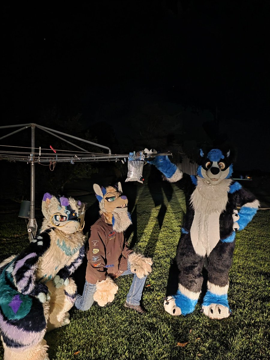 ShadowRK9 tweet media