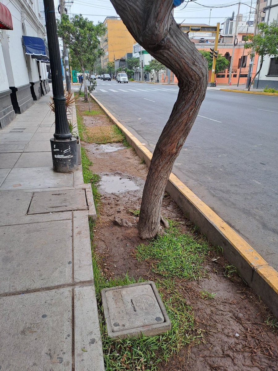 carosif's tweet image. Esta es la modalidad que ha practicado en los últimos años la #MunicipalidadDeLima, presentar una "obra" para la foto y luego dejarla abandonada, es lo que ocurre con las áreas verdes de #Lima Cercado.