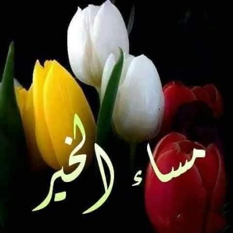 صحبة الكرام
ترفع المقام
أسأل الله أن يعطيكم 
فيرضيكم ويرزقكم 
فيغنييكم ويجعلكم من 
 سعداء الدنيا والآخرة 
برحمتك يا ارحم الراحمين
وصلى الله وسلم وبارك على نبينا وحبيبنا وشفيعنا محمد صلى الله عليه وسلّم ♥️ مساء الخير