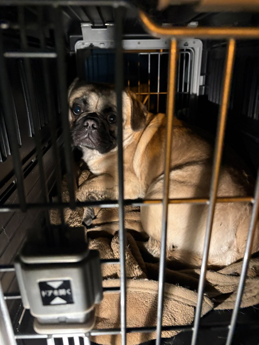 なおさん tweet media