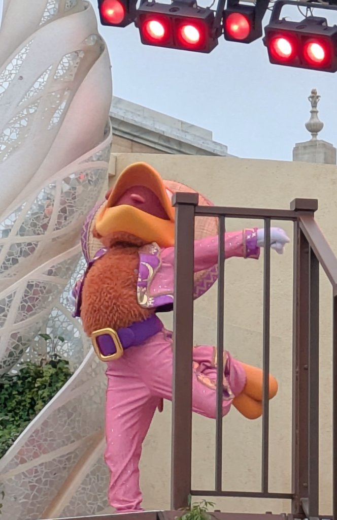 ｺﾚはあまりにも仰け反っているラテンをこよなく愛しラテンにこよなく愛される鳥さん