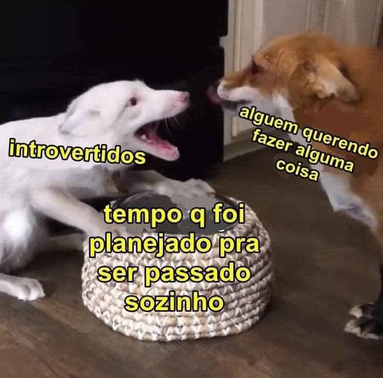 Pagina lixo tweet media