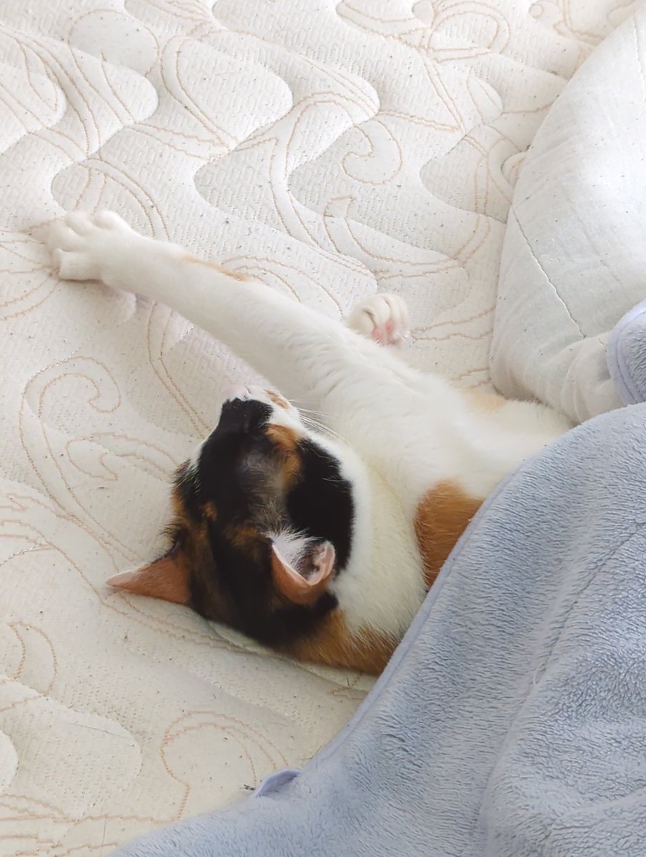 Yuu Jinnai tweet media