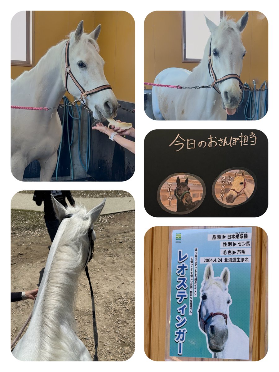 でんでこでん tweet media