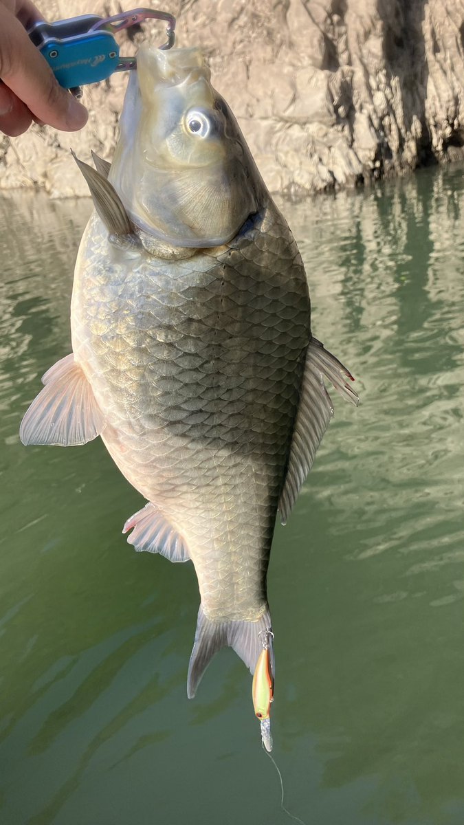 ごきお®︎🎣♨️⚾️ tweet media