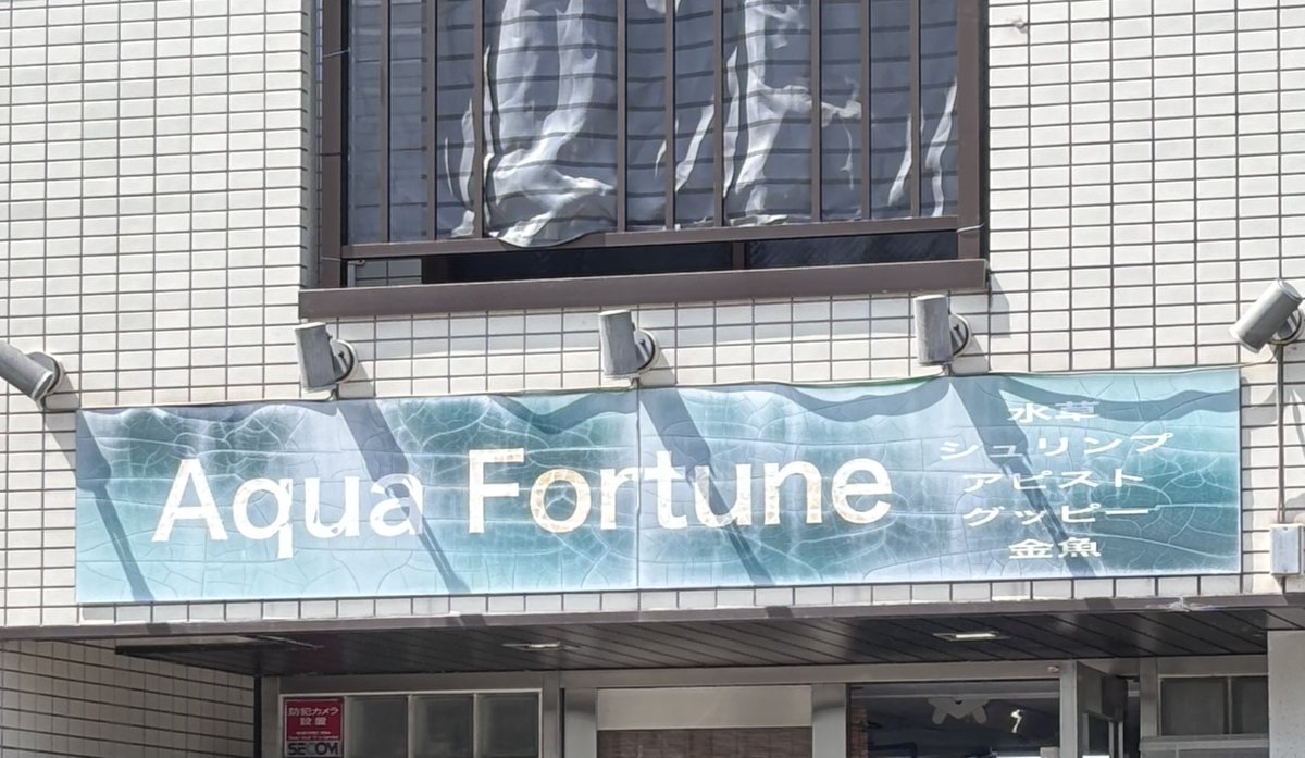 みんと🦐🌱 tweet media