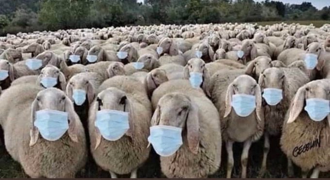 Tomahawk_🇺🇲 tweet media