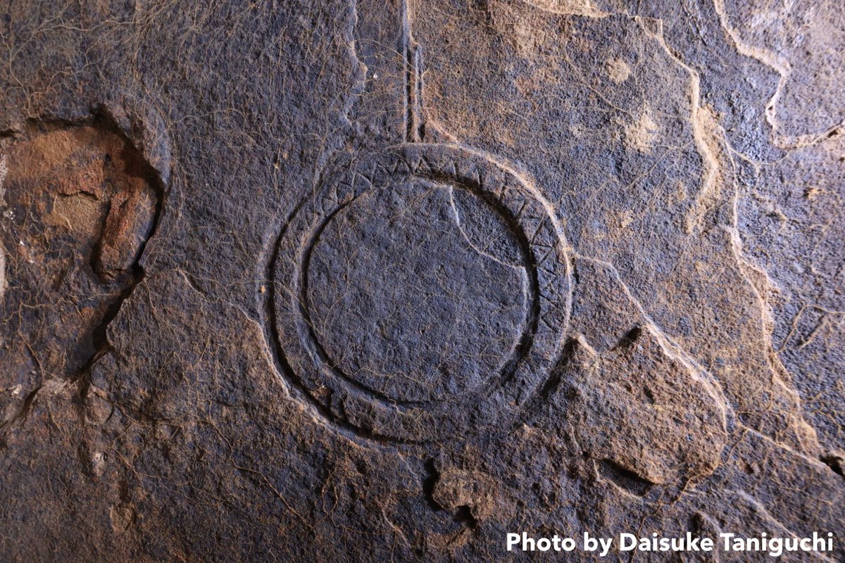 タニグチ ダイスケ tweet media