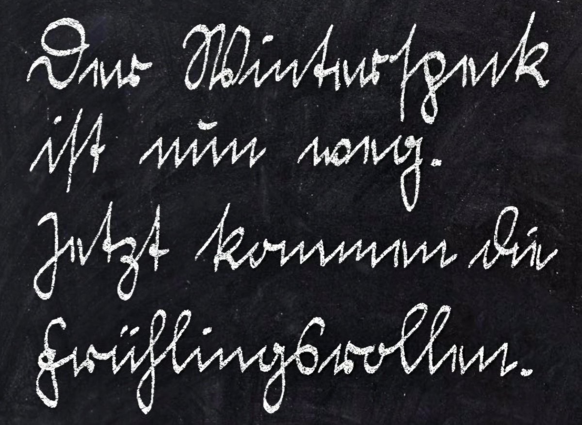 Cornelia_dasNordlicht tweet media