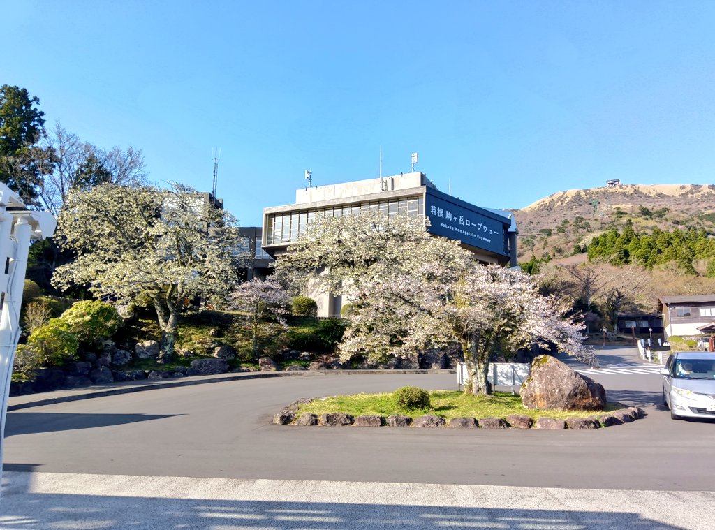 人里の後...ふと箱根の桜は❓と思って調べたら
見頃だと...善は急げεε＝(((((ﾉ･ω･)ﾉ
檜原村から箱根園に( '꒳' *)=͟͟͞͞   📣ﾜｰﾌﾟ
高速を使って 約2時間
渋滞なし
到着したのは16:15
水族館もだっこしてZOOも終わり
桜の写真だけ撮って
その場を後に...
滞在時間10分ꉂ🤣𐤔