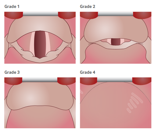 Critical Care Reviews tweet media