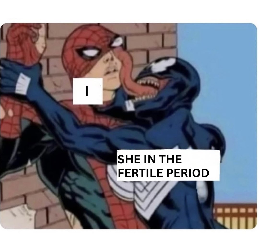 ᵣₑᵢₖₒ tweet media