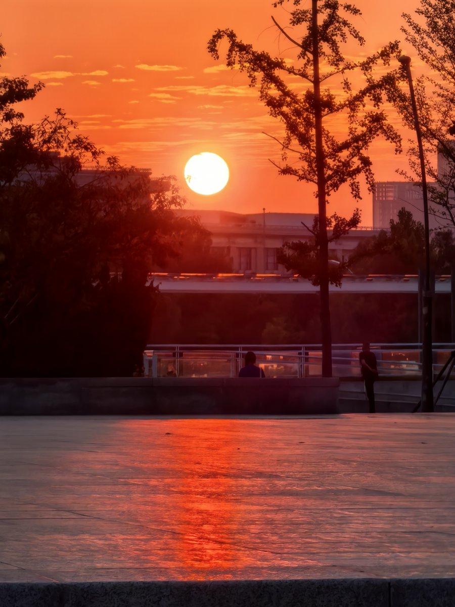 علي الديلمي tweet media