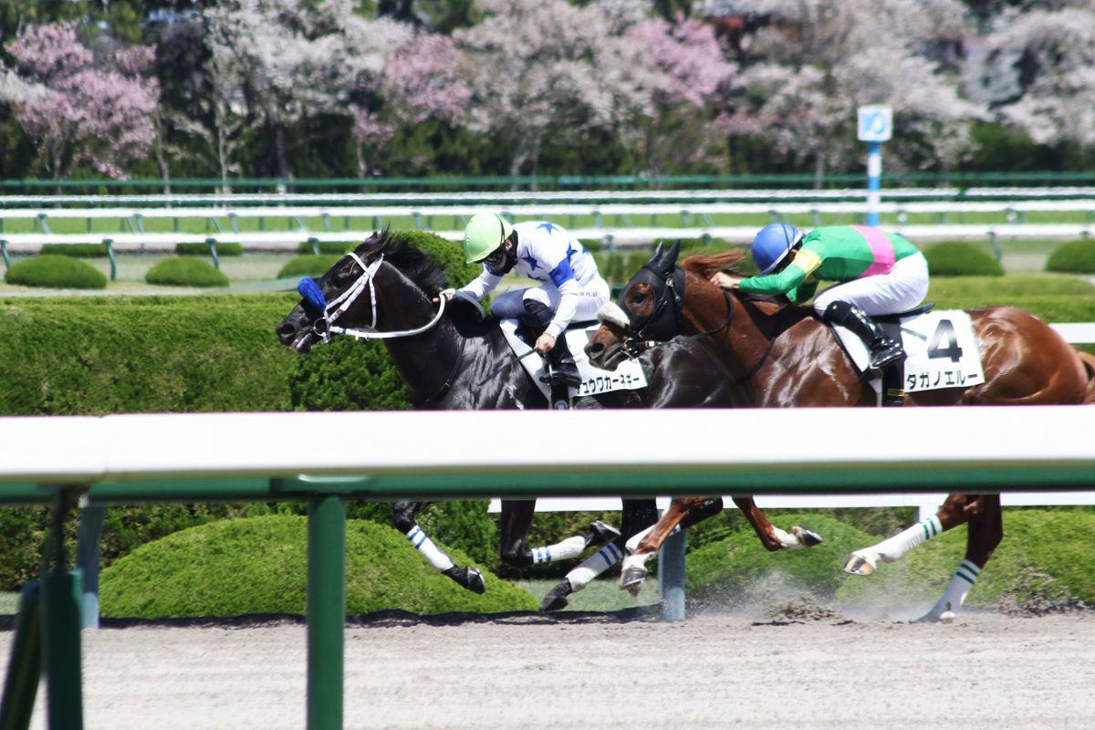 taka.m(分場) tweet media