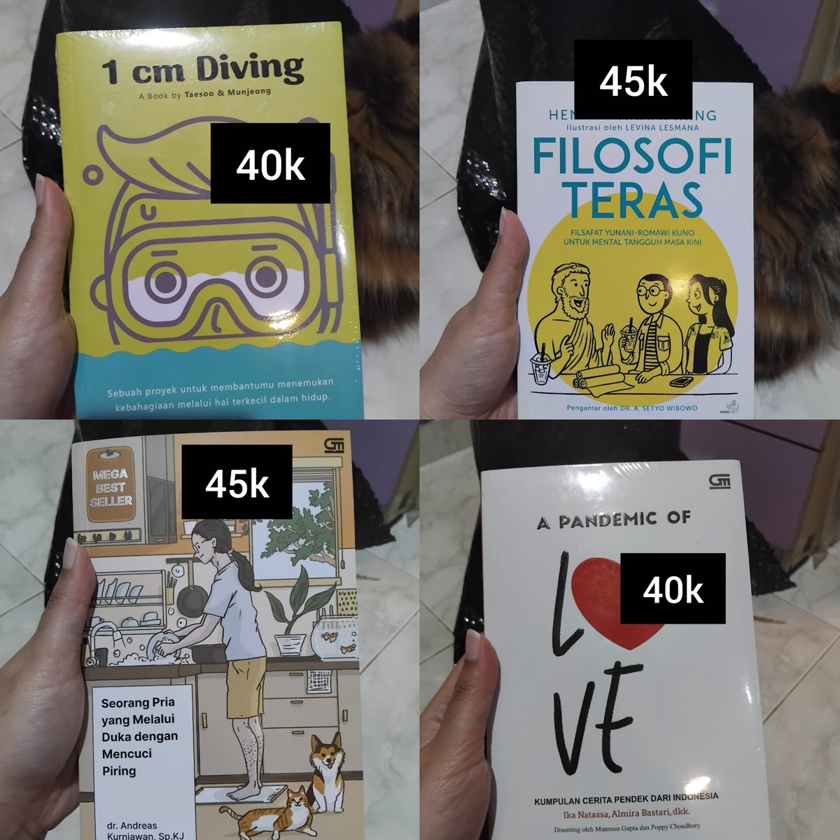 🌑🌚 tweet media