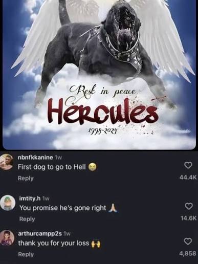 Cho'Gath tweet media