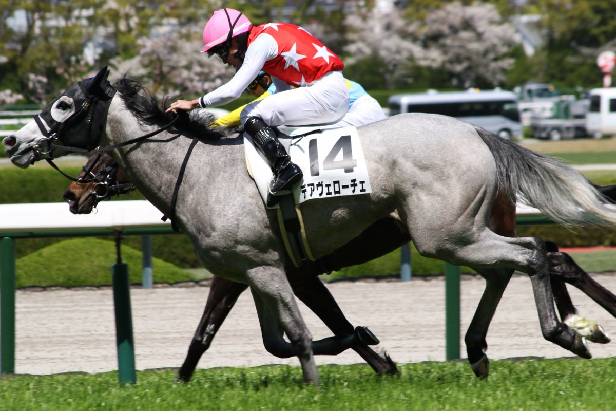 taka.m(分場) tweet media