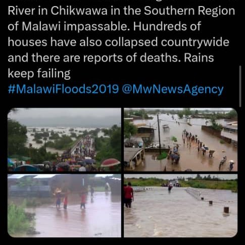 Lisa~Tadala😊📈📚♻️🏊 🎶 🍌 tweet media