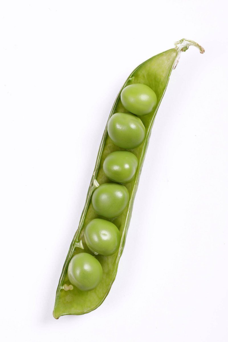 Hassan Bokhari tweet media