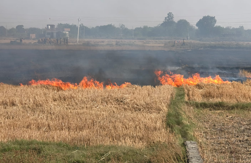 bstvlive's tweet image. आजमगढ़ : टिकरगढ़ गांव में भीषण आग की घटना

➡शॉर्ट सर्किट से आग लगने की जानकारी
➡8 बीघा गेहूं की फसल जलकर हुई राख
➡फायर ब्रिगेड को कॉल करने पर जवाब नहीं मिला
➡घटना के बाद गांव में भारी आक्रोश का माहौल
➡ग्रामीणों ने प्रशासन से मुआवजे की मांग की

#Azamgarh #Fire #Farmers