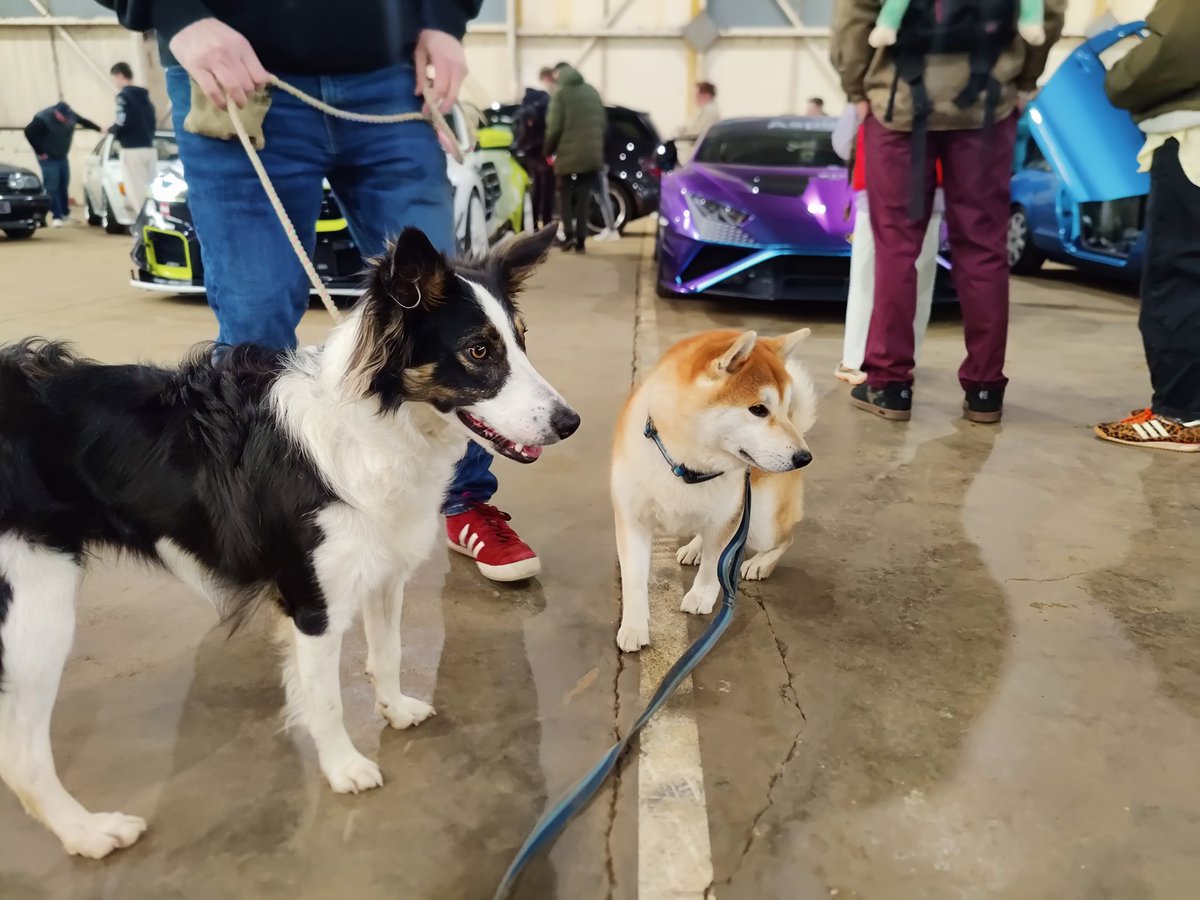 Martyn & Mika 🏴 tweet media