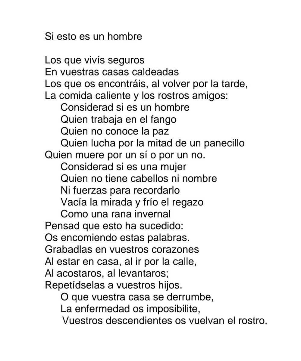 Gutmaro G Bravo tweet media