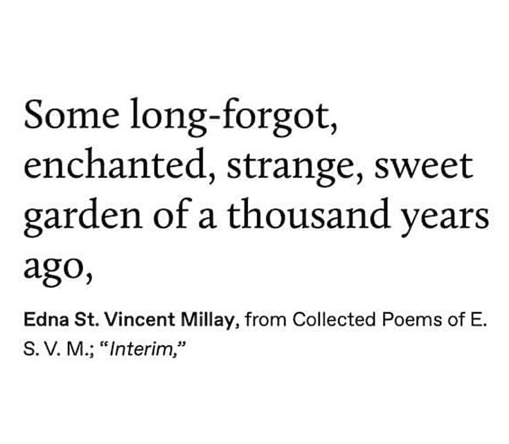 Literarium12's tweet image. 