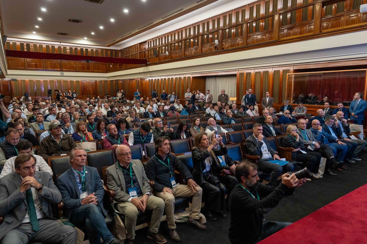 Leandro Illa (@illaleandro) on Twitter photo 