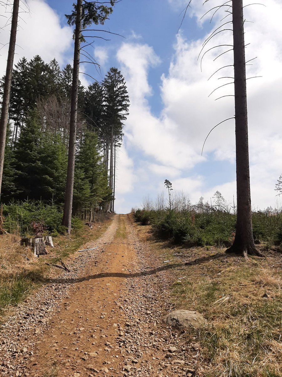 VraMarkov3's tweet image. ... to vyběhneš v 🏃‍♀️👟🌲mlze a vracíš se za plného svitu ☀️🌸 🤣 ...
#saturdayrun 
#okousekdál
#sobotnípůlka