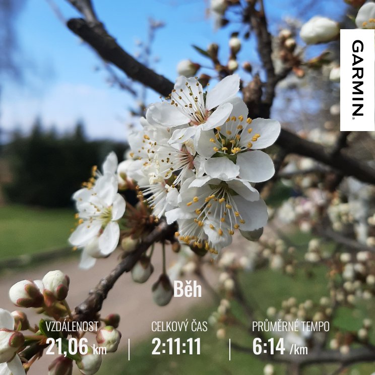 VraMarkov3's tweet image. ... to vyběhneš v 🏃‍♀️👟🌲mlze a vracíš se za plného svitu ☀️🌸 🤣 ...
#saturdayrun 
#okousekdál
#sobotnípůlka