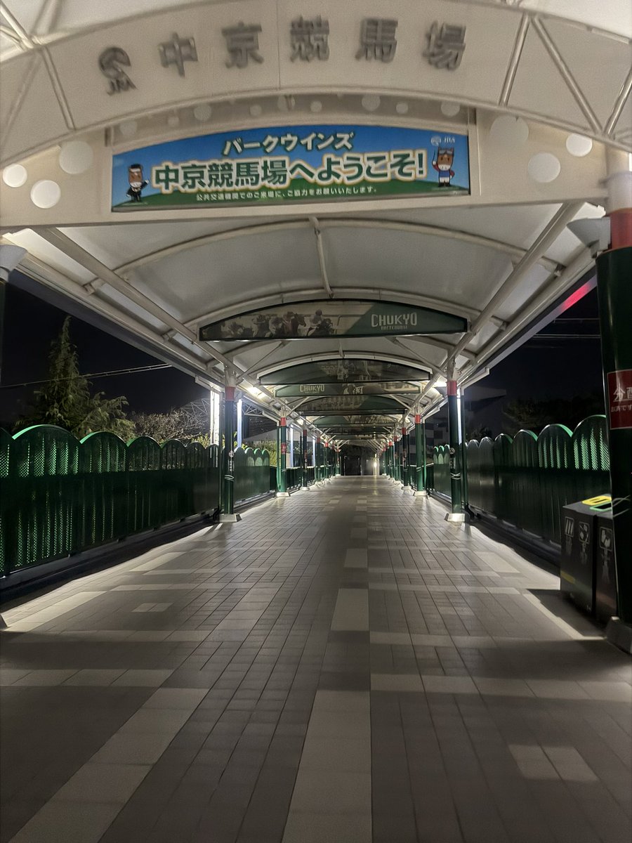 朱音(あかね） tweet media