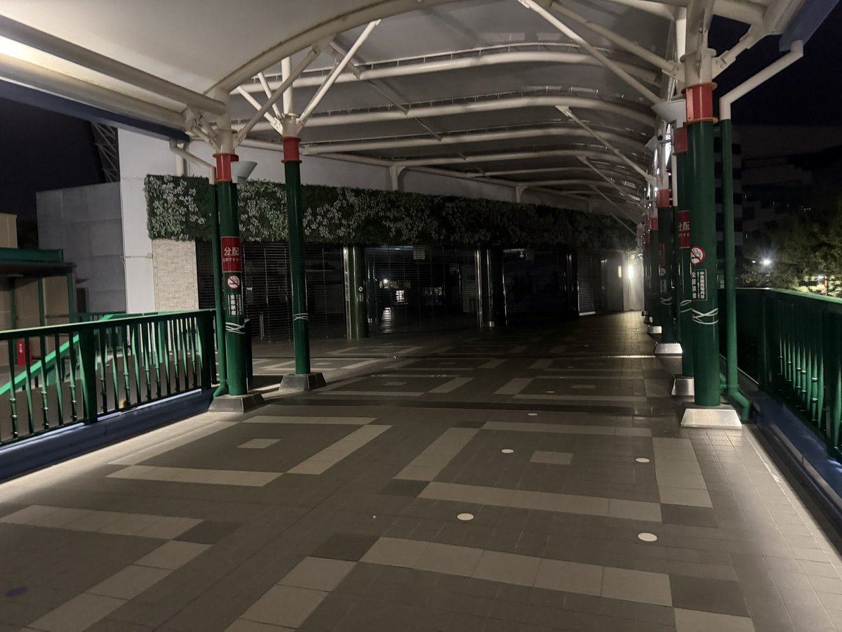 朱音(あかね） tweet media