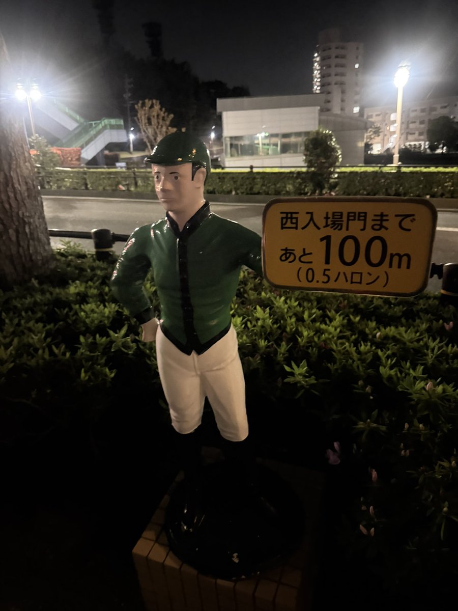 朱音(あかね） tweet media