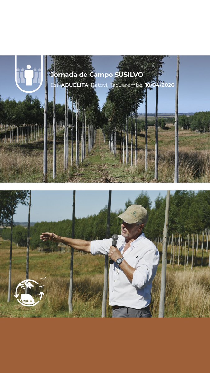 Sociedad Uruguaya de Silvopastoreo tweet media