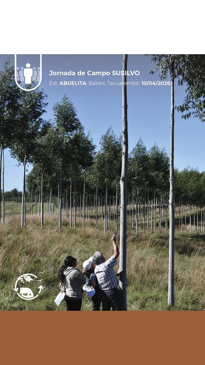 Sociedad Uruguaya de Silvopastoreo tweet media