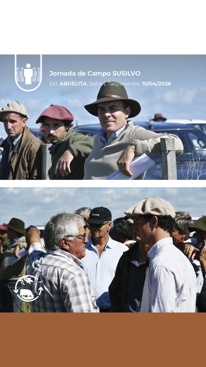 Sociedad Uruguaya de Silvopastoreo tweet media