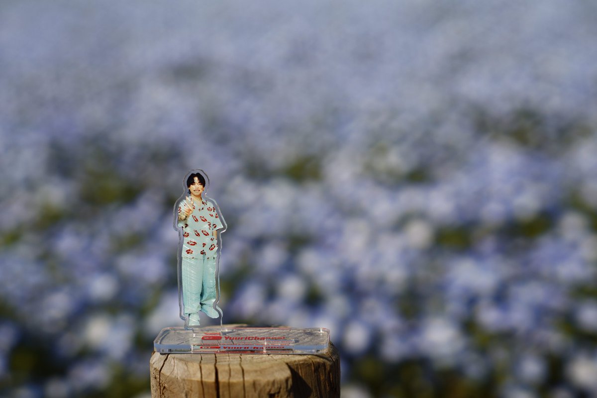 あやかNB📷∞ tweet media