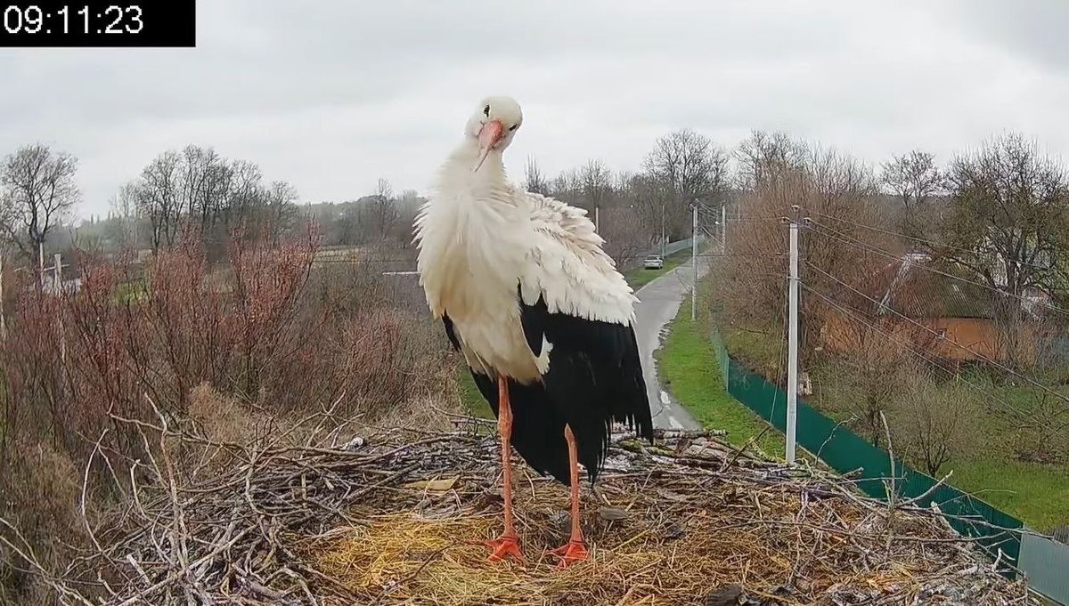 ЗМІСТ tweet media