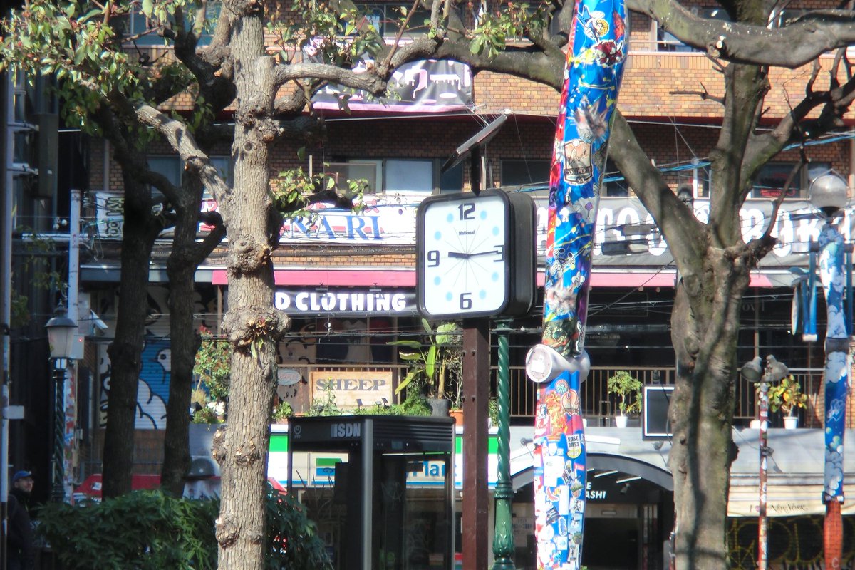 소코 tweet media