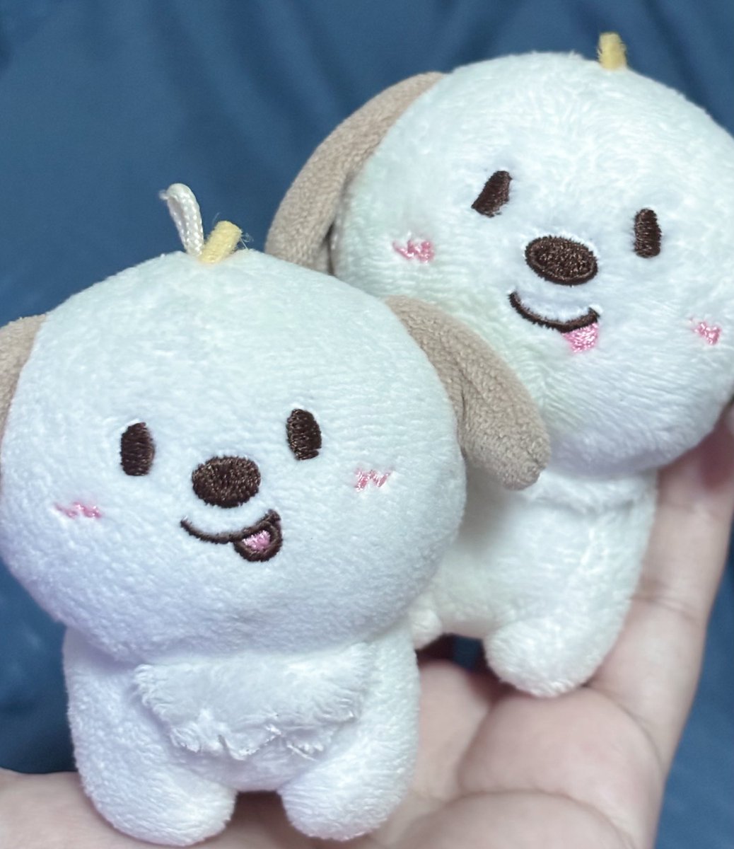 leeyi◝✩ tweet media