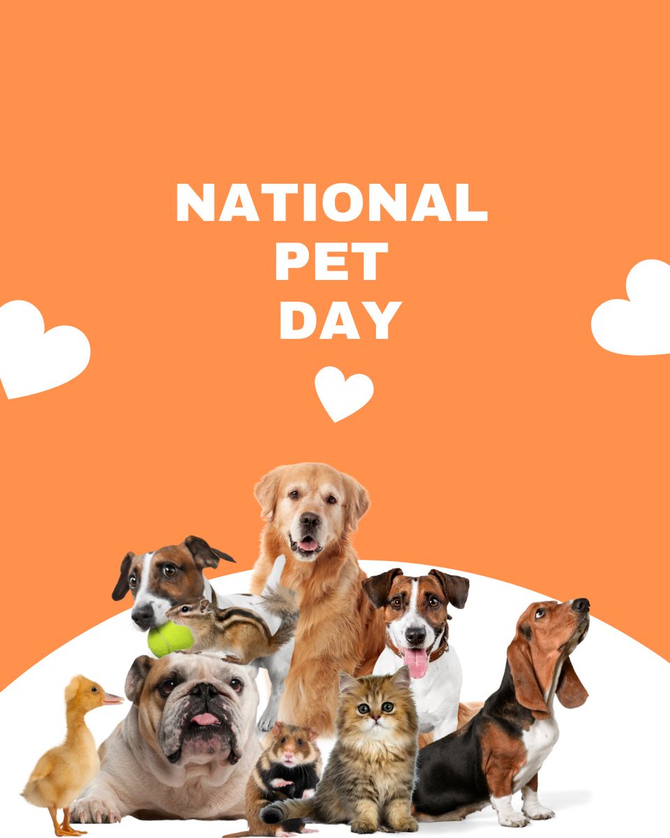 BobBruders's tweet photo. Let's be real. Every day is National Love Your Pet Day. 🐶🐱

Here's to our four-legged family members! 

How many pets do you share your home with? Tell us below! 👇

#funholiday #holiday #celebrate #celebration #pet #dog #cat https://t.co/yMgUlA9WJi