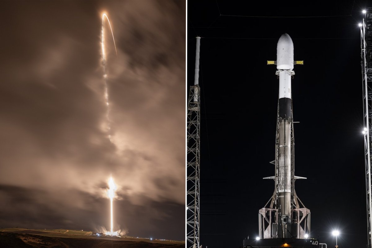 X Freeze tweet media