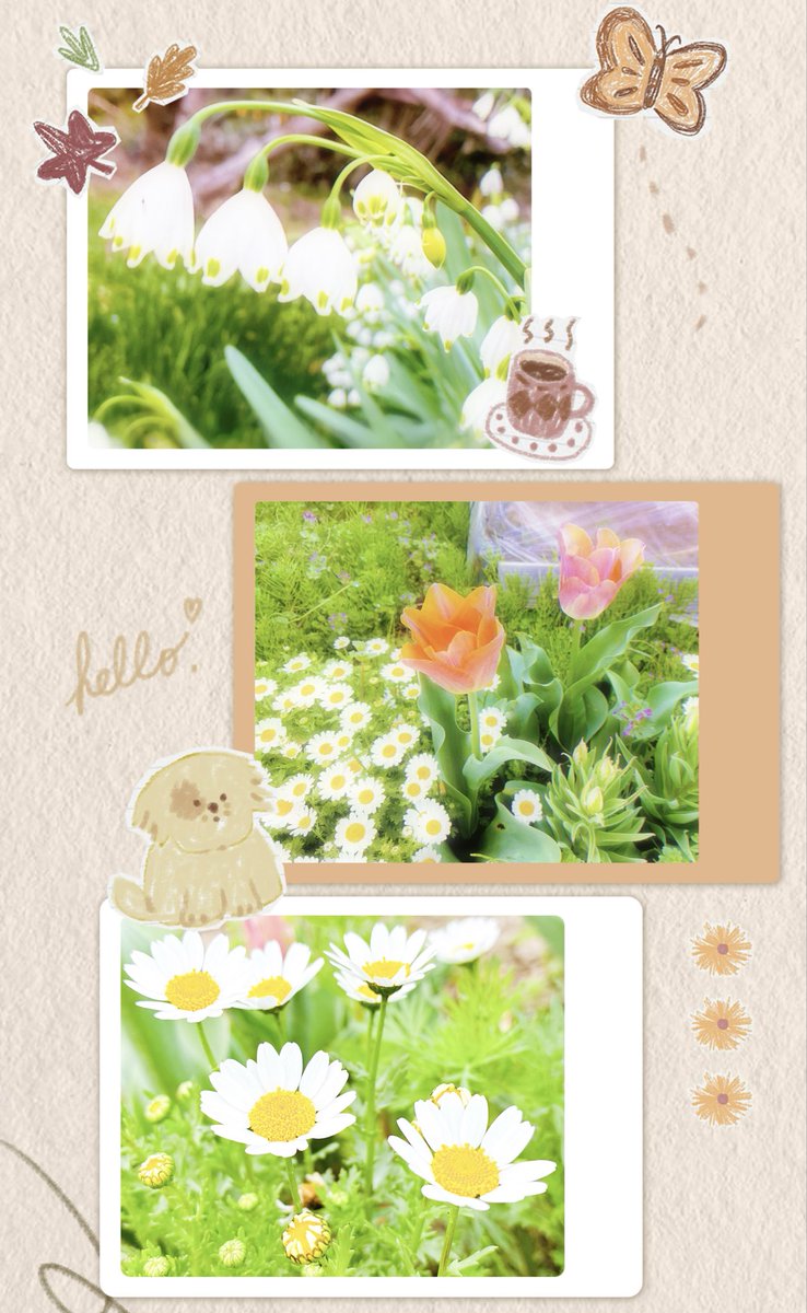 うなん🧸ྀི🤎 tweet media
