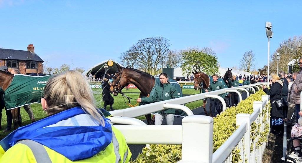 JRA World Racing tweet media