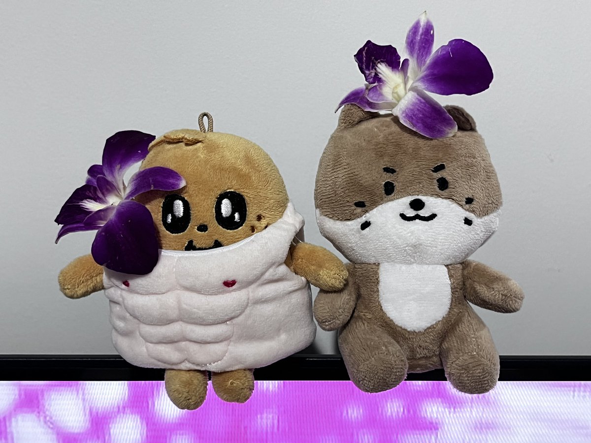 𝙗𝙡𝙖𝙘𝙠𝙘𝙖𝙩𝙣𝙪 ఇ ◝‿◜ ఇ tweet media