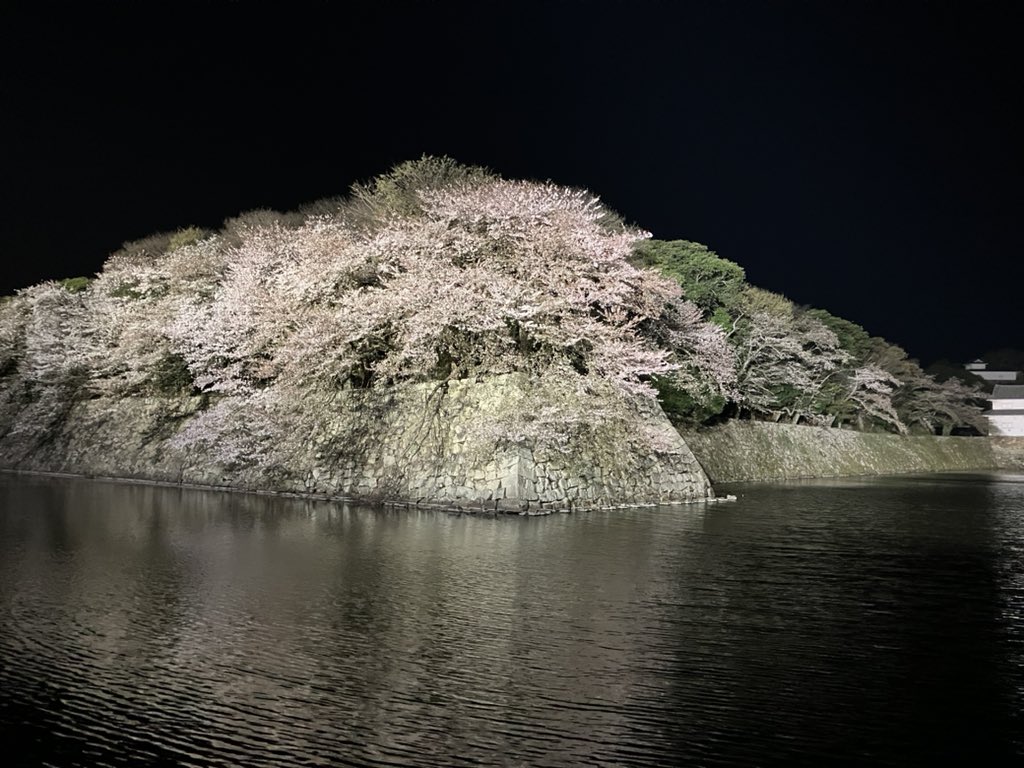 koma ÒㅅÓ。)ﾉ☆⊗狛荘 tweet media